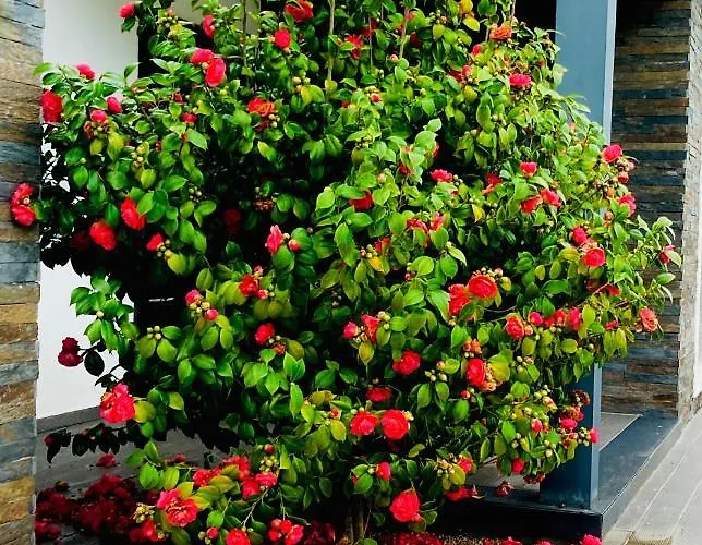 Quinta Do Portal 빌라 Bespeira